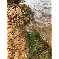 King tide Williamsburg in James city County image